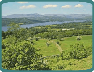 Holiday Cottages Tregony