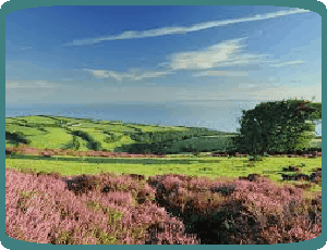 Holiday Cottages Redruth