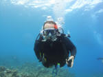 Diving in Tenerife