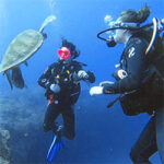 Diving Holidays