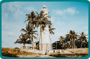 Hotel Reviews Habarana Hotels