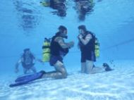 Sub Aqua Diving