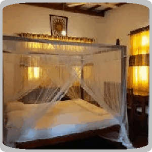 Hotel Reviews Yala National Park Cheap Hotels